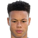 Футболист Дерри Шерхант